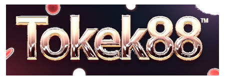tokek88 login logo